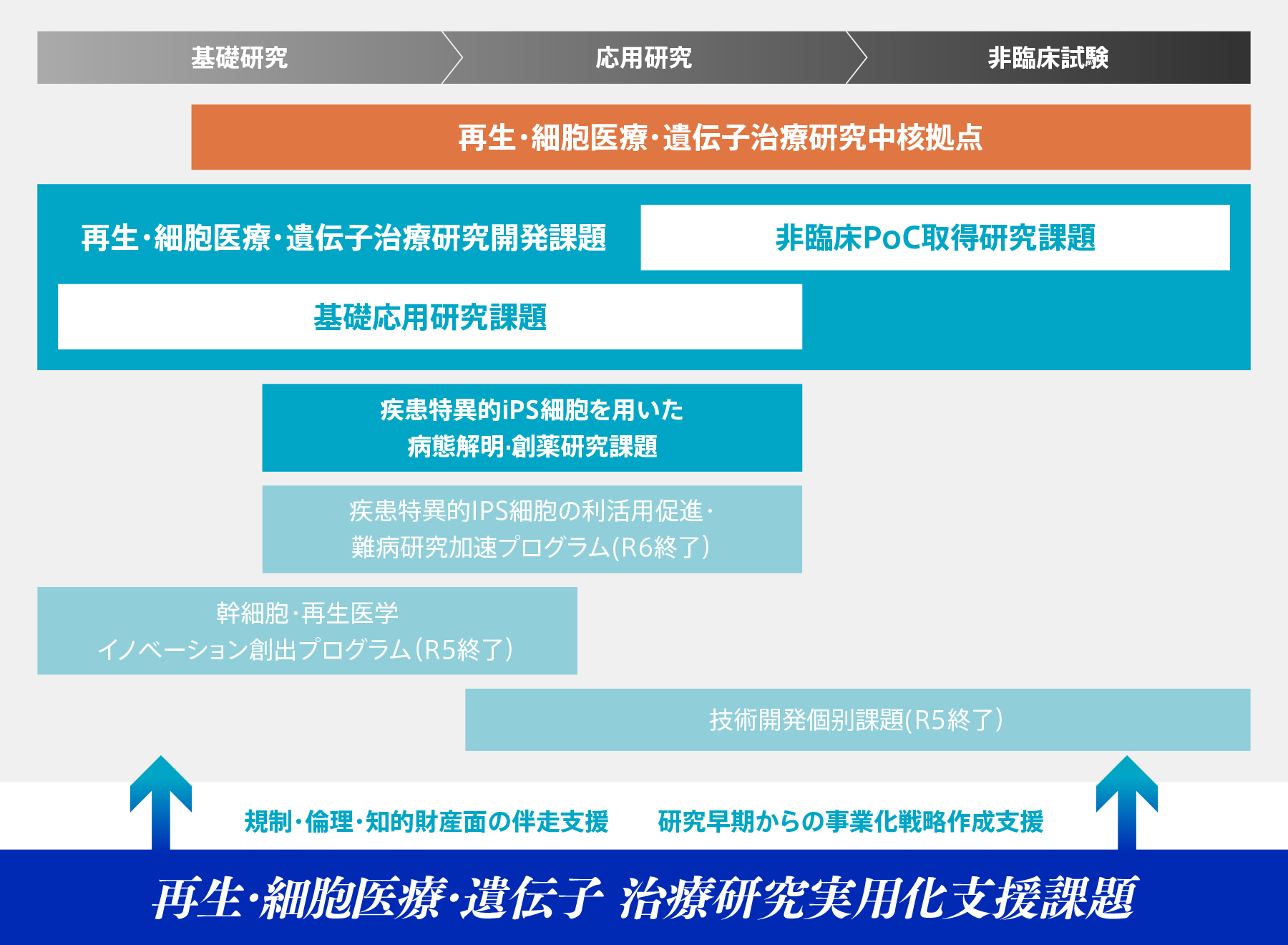 再生・細胞医療・遺伝子治療実現加速化プログラム